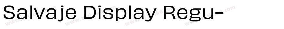 Salvaje Display Regu字体转换